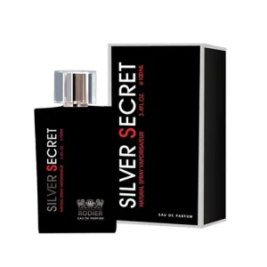 عطر مردانه Silver Secret 100ml (21284)